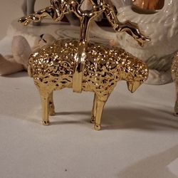 Brookes brothers Gold Coler 