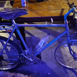 Trek Bike 10 Gear 
