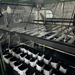 Hydro/Grow Equipment For Sale! Tons Of Stuff