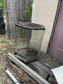 Large glass reptile tank