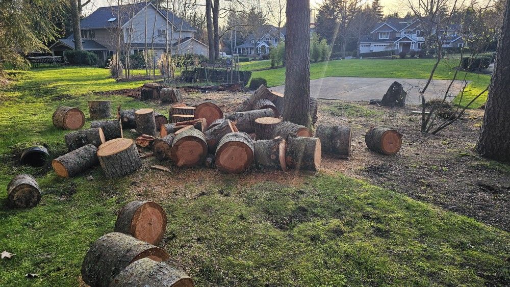 Firewood
