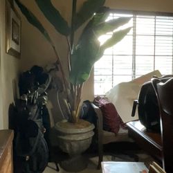 Artificial Tree