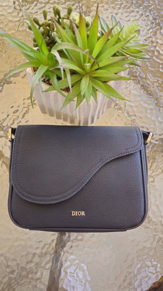 Dior Saddle Messenger Crossbody Bag