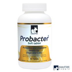 Probióticos Digestive Support Health