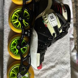Pilot P-51 Speed skates