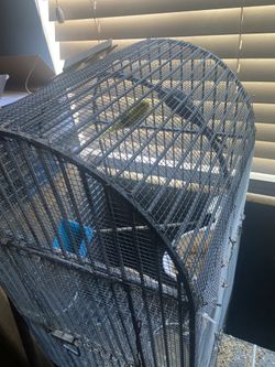 Metal Cages