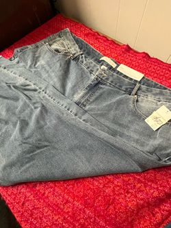 Women’s Plus Jeans 24W