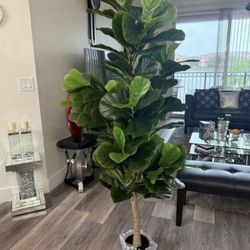 Pretty Artificial Plant 6 Ft Tall !brand New 