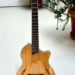 Thinline Acoustic Electric  Nylon String Guitar - Gianinni Brazilian Custom Built