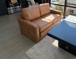 Pottery Barn Teen Tan Grove Sleeper Sofa