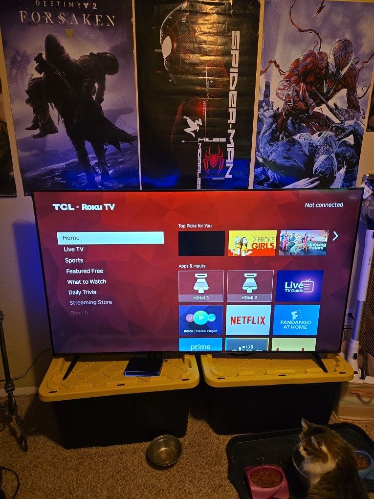 65 Inch Roku Tv