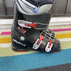 Kids Alpina Ski Boots, Size 23.5 Mondo