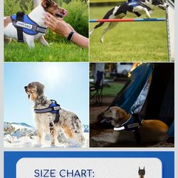 PHOEPET No Pull Dog Harness Reflective Adjustable Vest with a Training Handle, Name ID Pocket, 2 Metal Leash Hooks, 3 Snap Buckles [Easy to Put on & T