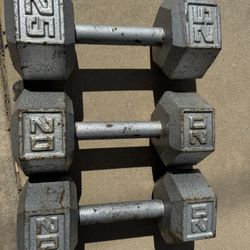 💪 Dumbbell Set – 20 LB Pair + 25 LB Single 