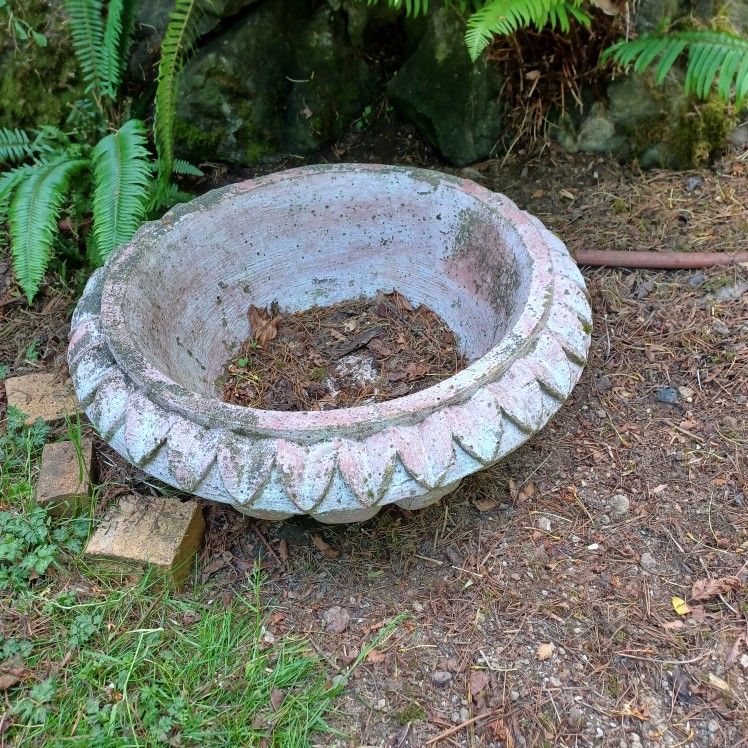 Bird Bath