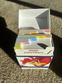 Barron's Anatomy Flashcards 1st edition with poster never been used