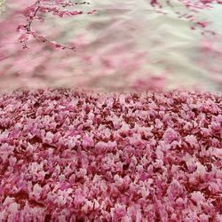 Beautiful pink flowers backdrop  
