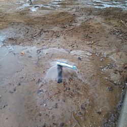 SPRINKLERS Installation.