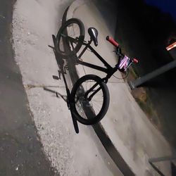 24 Inch So Cal Flyer Se Bike