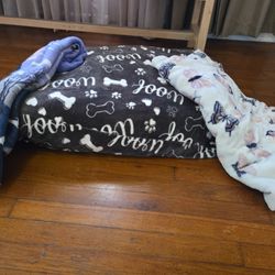 Dog Pillow Bed