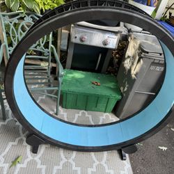 ‘One Fast Cat’ Exercise Wheel