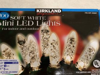 100 soft white mini led Lights