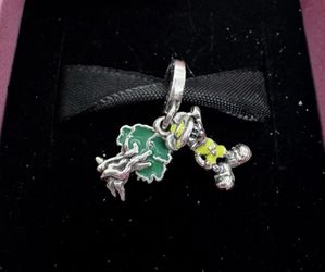 Disney animal kingdom exclusive Pandora charm 