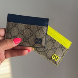 Green Or Blue Card Holder