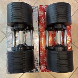 Adjustable Dumbbells 80Ibs | Gym Equipment