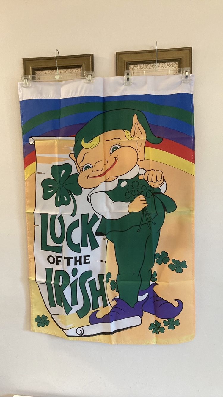 BRAND NEW Saint Patrick’s Day Flag 29” X 43” St Patrick‘s Day Outdoor Decor St Patricks Day
