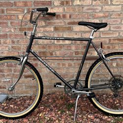 SCHWINN SUPER 6SPEED CRUISER 23” Frame