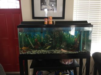 Aquarium tank