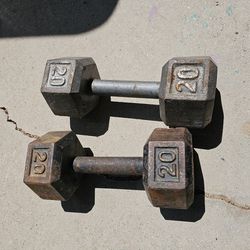 20 Lbs Weights 