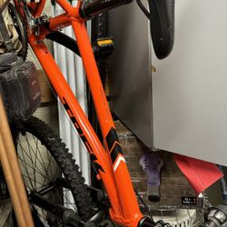 Trek Young Adult Bike