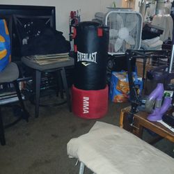Punching Bag In Speed  Bag