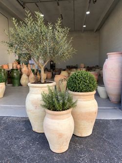 Authentic Hand-Thrown Mediterranean Terracotta Jars – Verona Collection #61