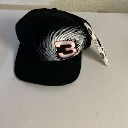 #3 Dale Earnhardt Cap NEW