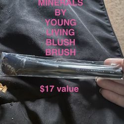 NWT blush brush