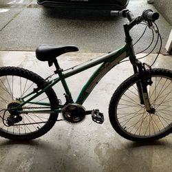 Diamondback Cobra 24 Bike