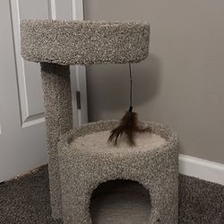 Cat Tower