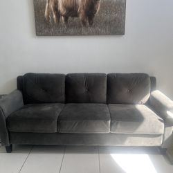 Couch and loveseat 