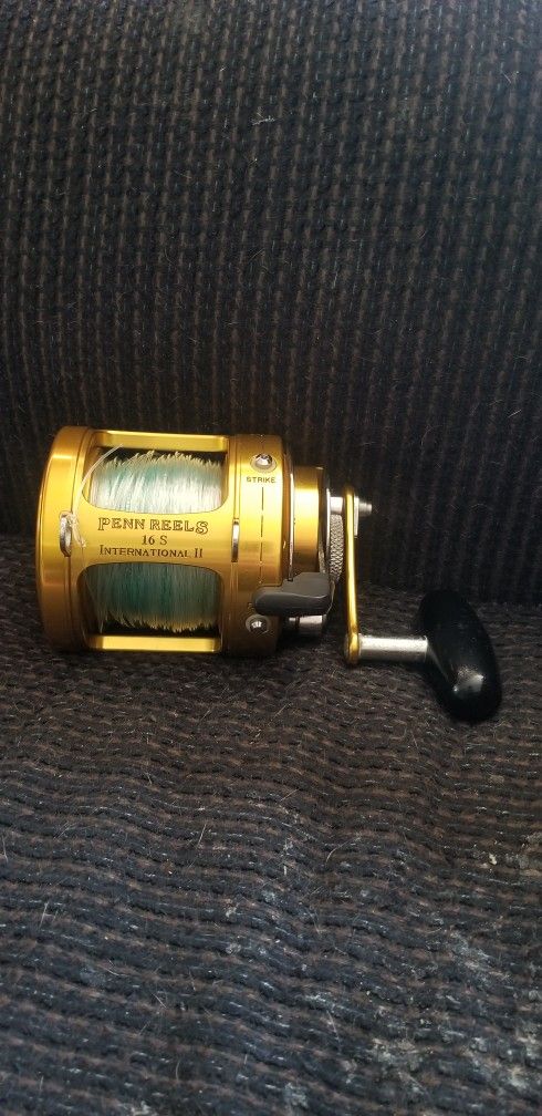 Fishing rod And Reel