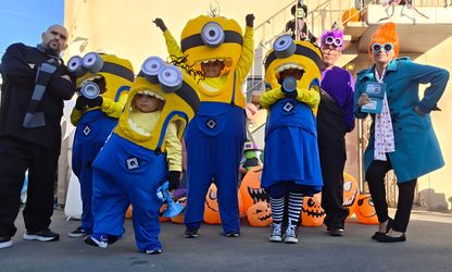 Minion costumes