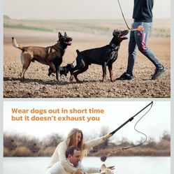 LOOBANI Flirt Pole for Dogs - Chase & Tug of War, Interactive Toys & Extendable Teaser Wand for Small Dogs Training & Exercise