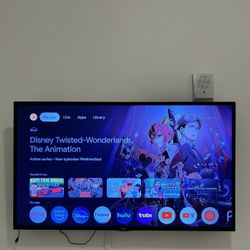 LG 55” TV 