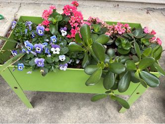 Assorted plants in green metal planters