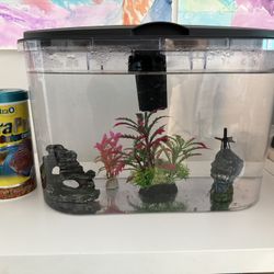 Empty Fish Tank With Food / Decor / Rocks / Filter / Refills 