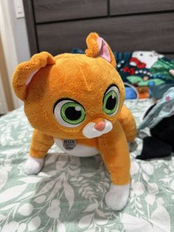Sox Cat