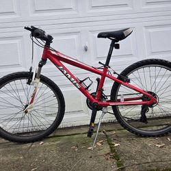 Jamis 20 Inch Mountain Bike