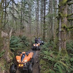 2004 And 2005 Kfx700